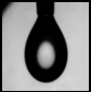 2下悬滴泡法图片.png